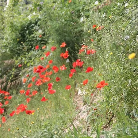 Miralonga Valle Lao Bed & Breakfast