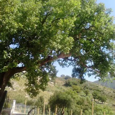 Miralonga Valle Lao Papasidero